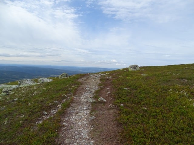 Fjällstig Trysilfjellet 