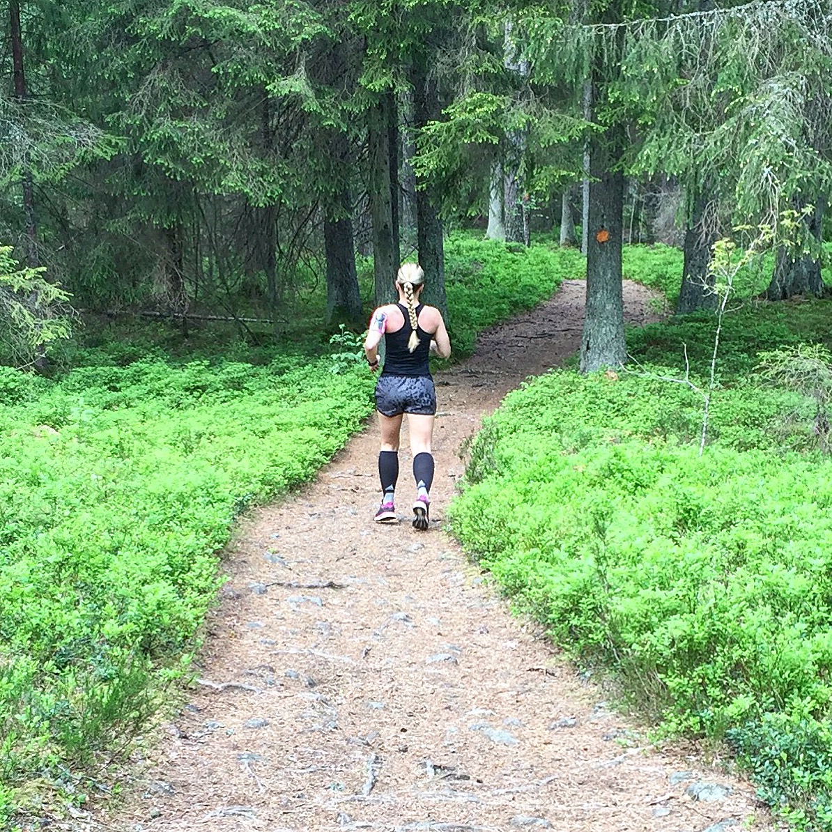 V löpning i skogen 2