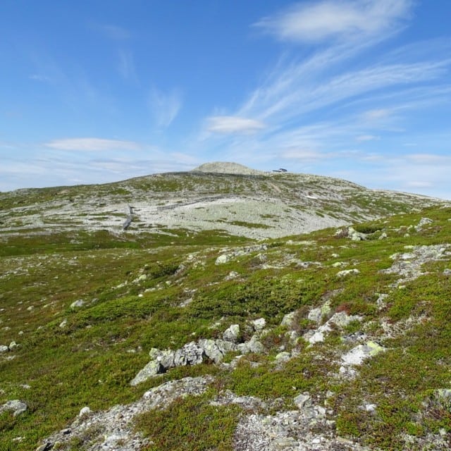 Trysilfjellet