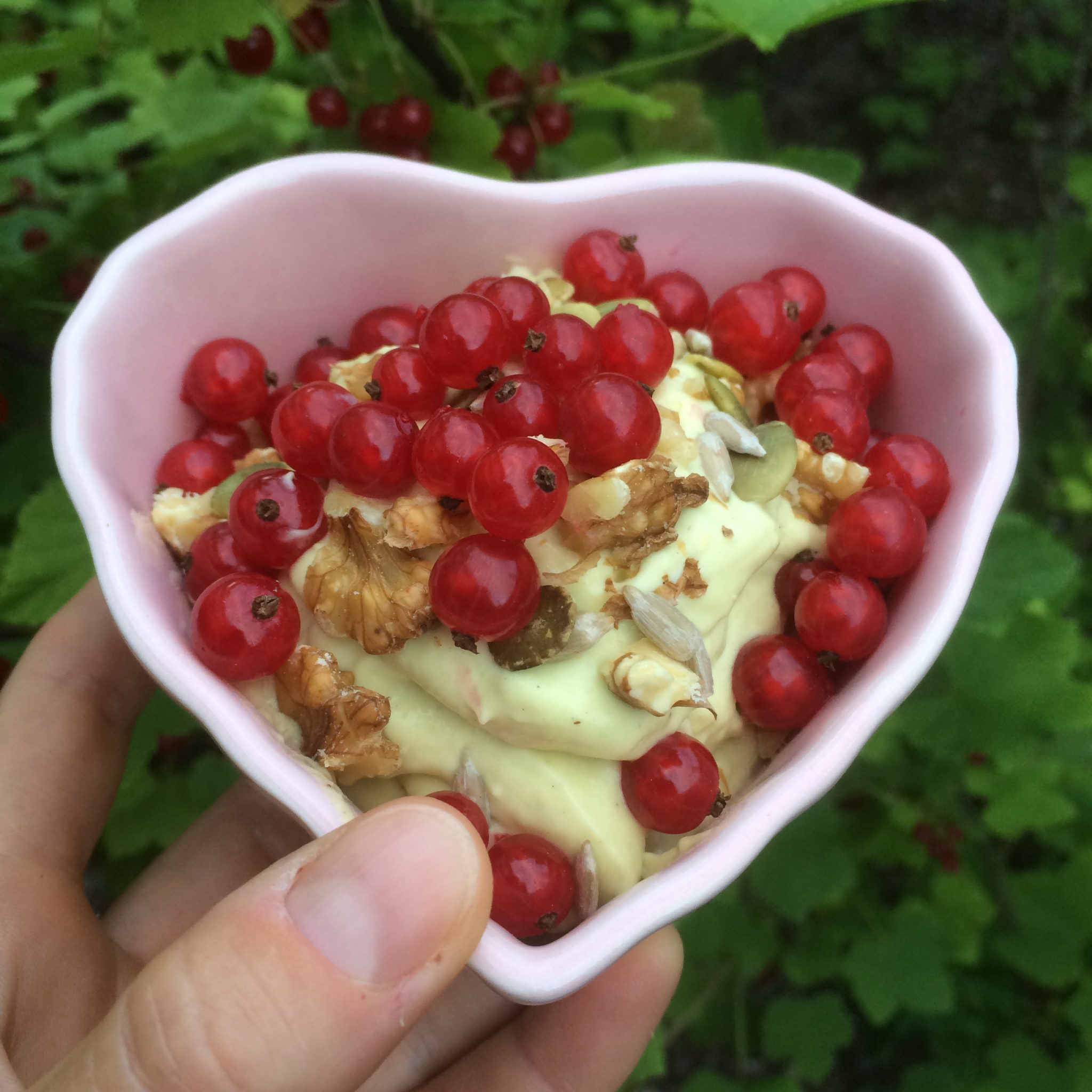 mangoyoghurt