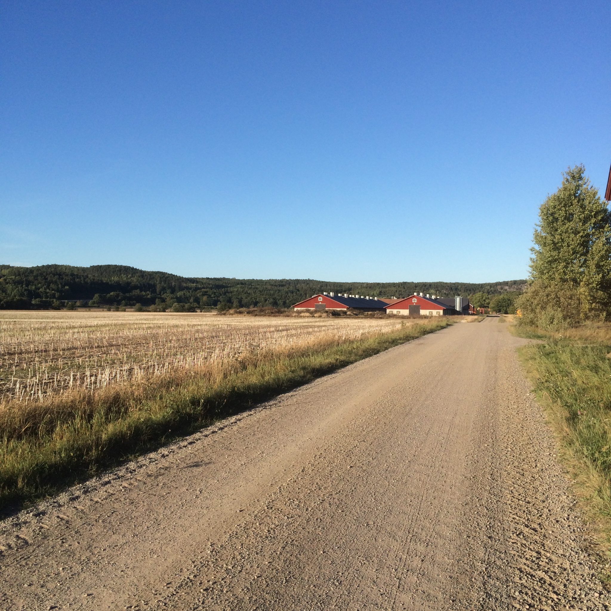 vardagsmotion