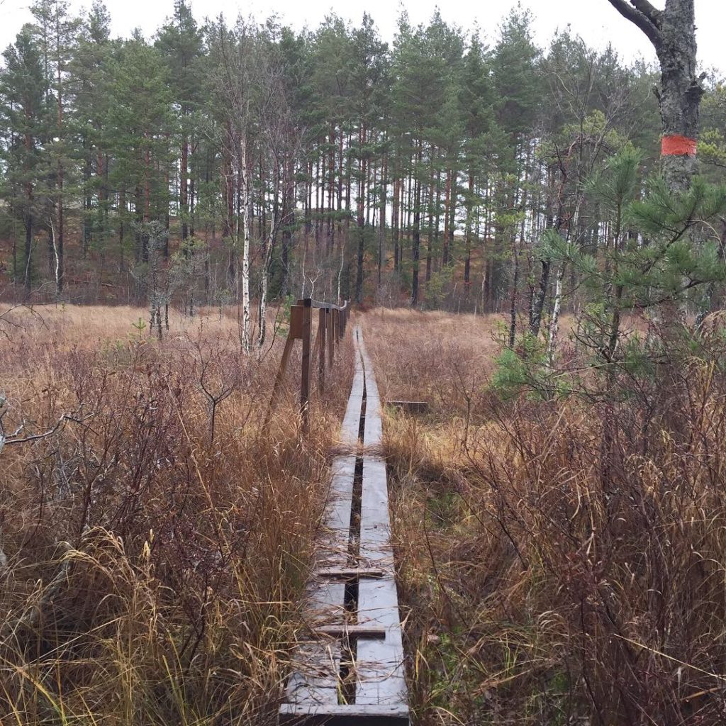 082BAB34-1576-41D7-851A-BD956E7CA5F2-1024x1024 - Näst längsta någonsin