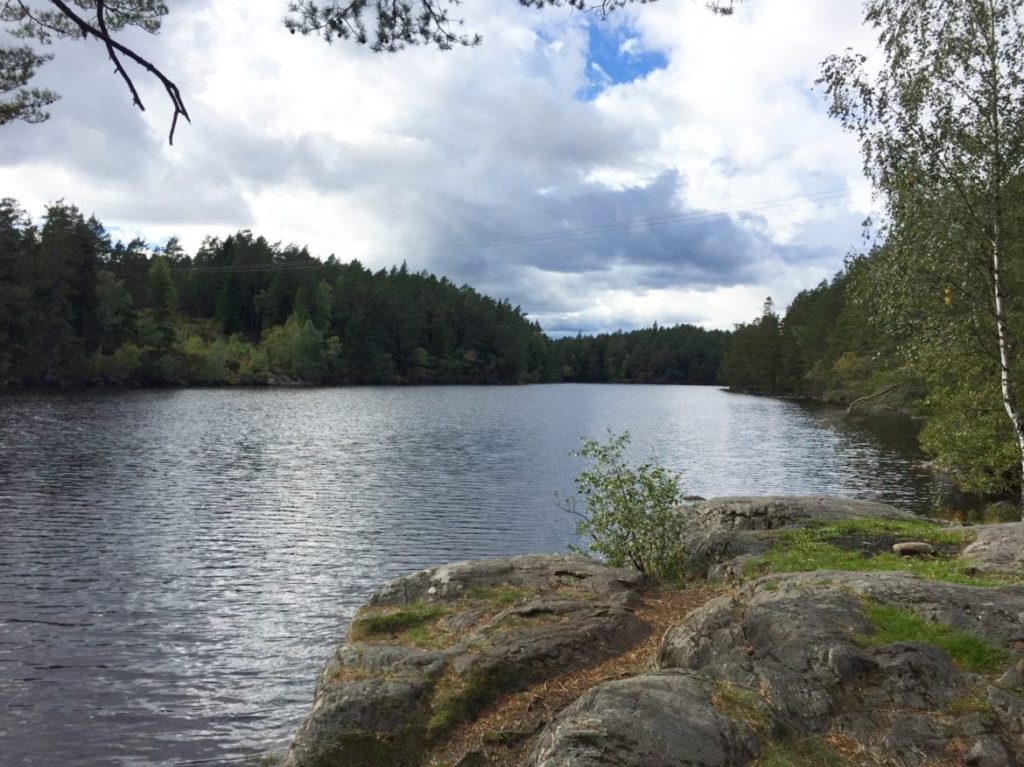 1F566B30-A191-4348-8C68-DEDE77D5EB48-1024x767 - För en stund känner jag livet i mig