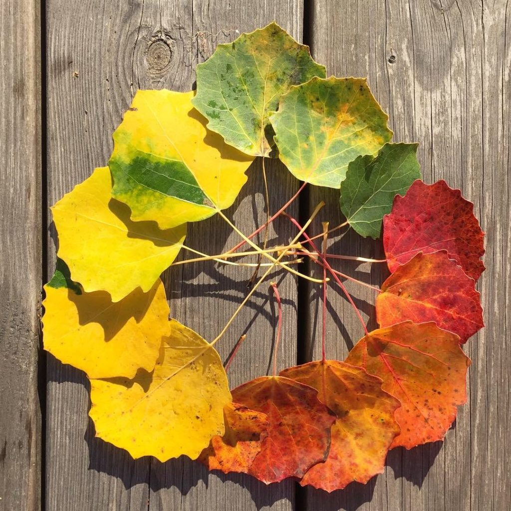 Autumnleaf