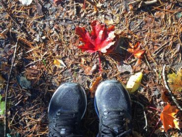 7D62D626-E3E8-4190-8B78-46581740024E