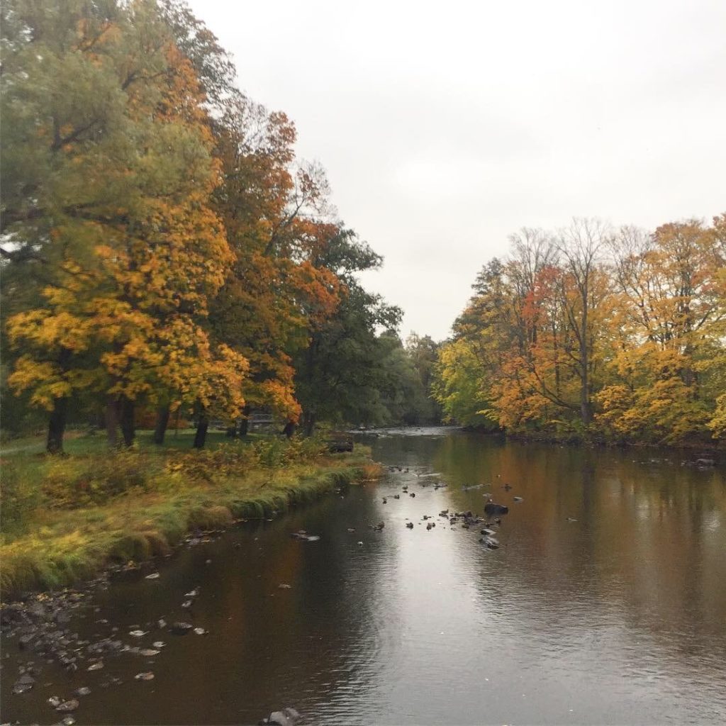 895B4EE6-DC4C-439C-B581-2155032FDA7E-1024x1024 - Gävlelöpning