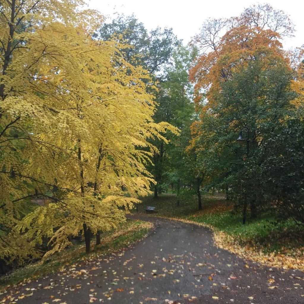 96EAFE1F-739A-4E5D-B6FE-74AE020670A0-1024x1024 - Gävlelöpning