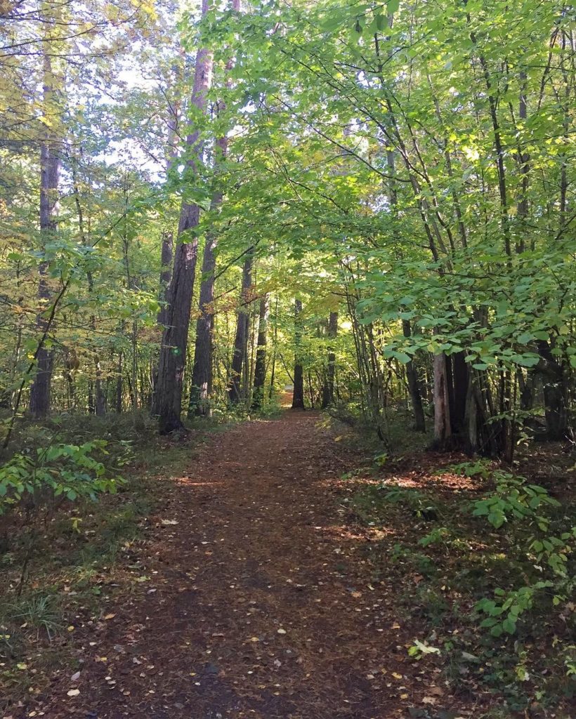 A5F0DBE1-0F2E-4E85-8657-E7E6D1A53B33-820x1024 - Testade en ny mil