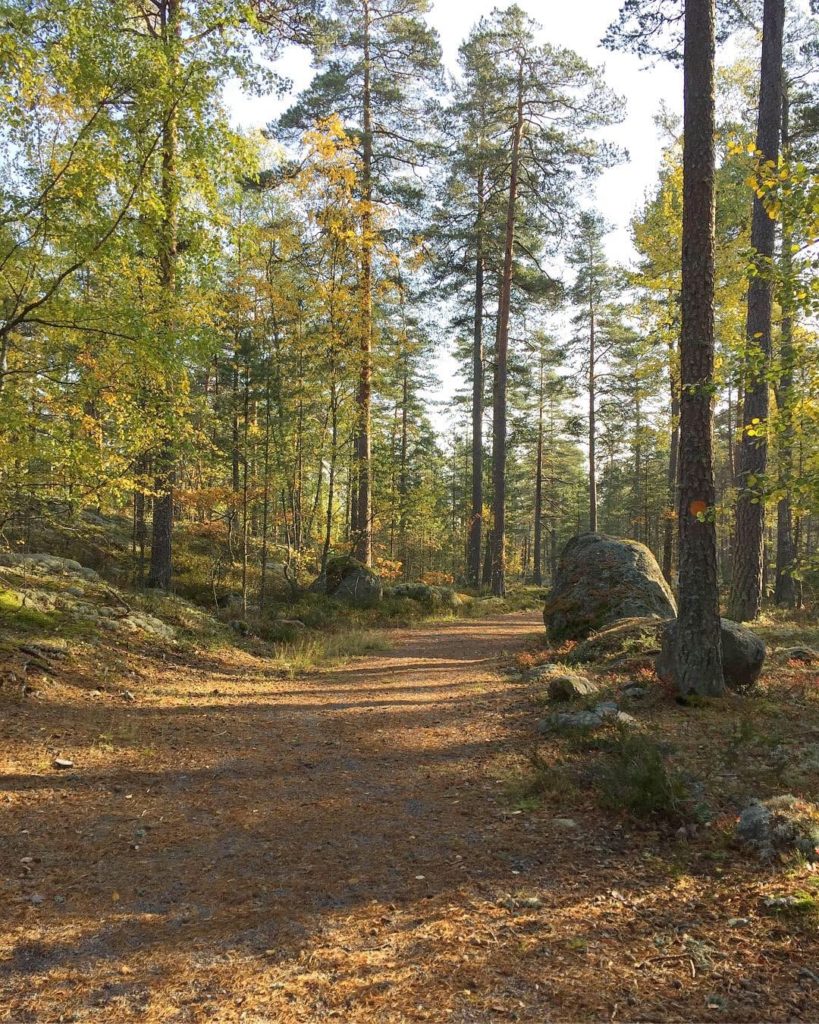 Trail
