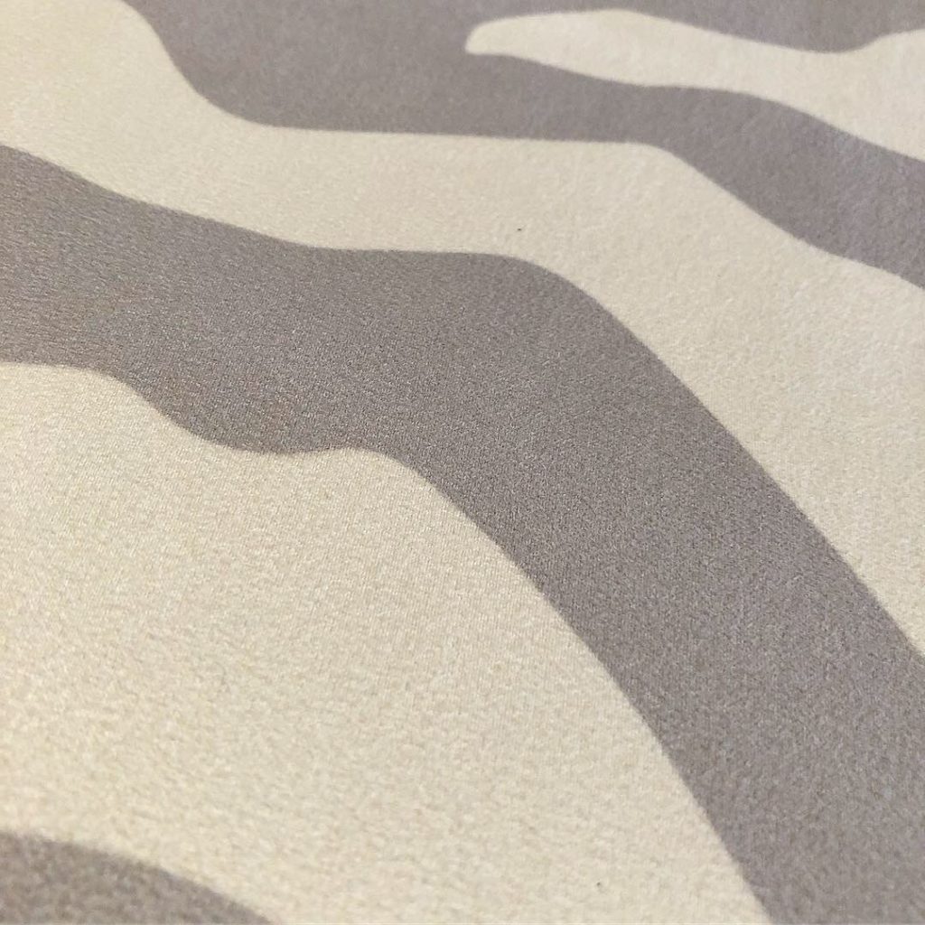 Yogamatta zebra