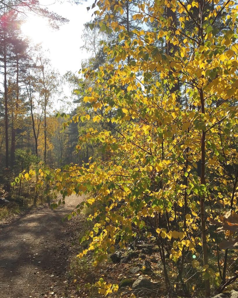Autumn