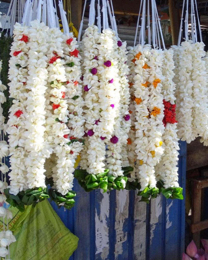 7113CDE6-A431-41CA-BAAE-5A3C9BE14529-822x1024 - Negombo och Colombo