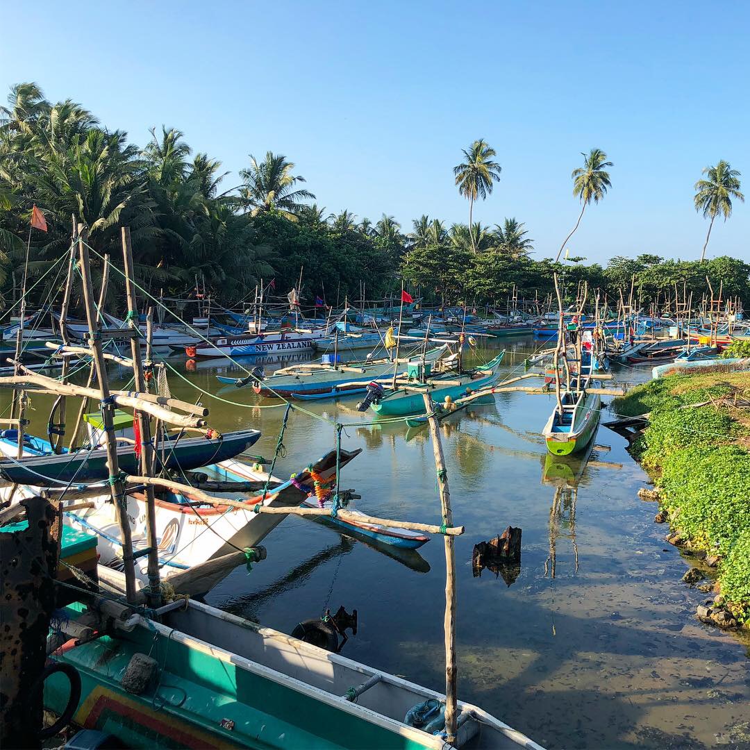 Dodanduwa harbour