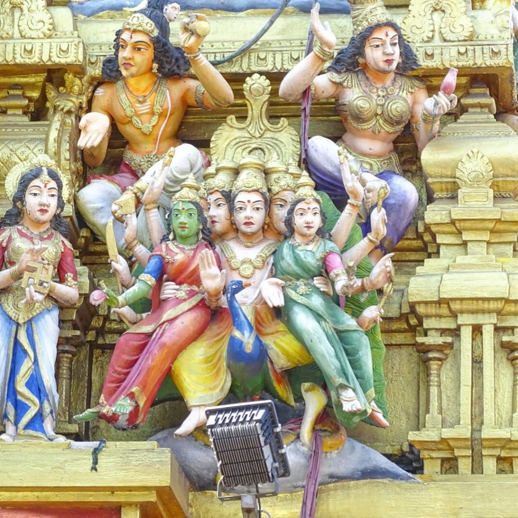 BDE6B297-6209-40FE-96FD-E5074150A320-1024x1024 - Negombo och Colombo