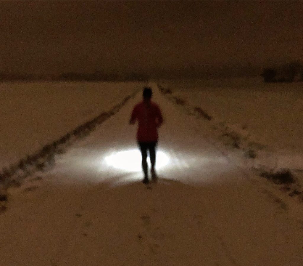 Första löpningen i Sverige 2019