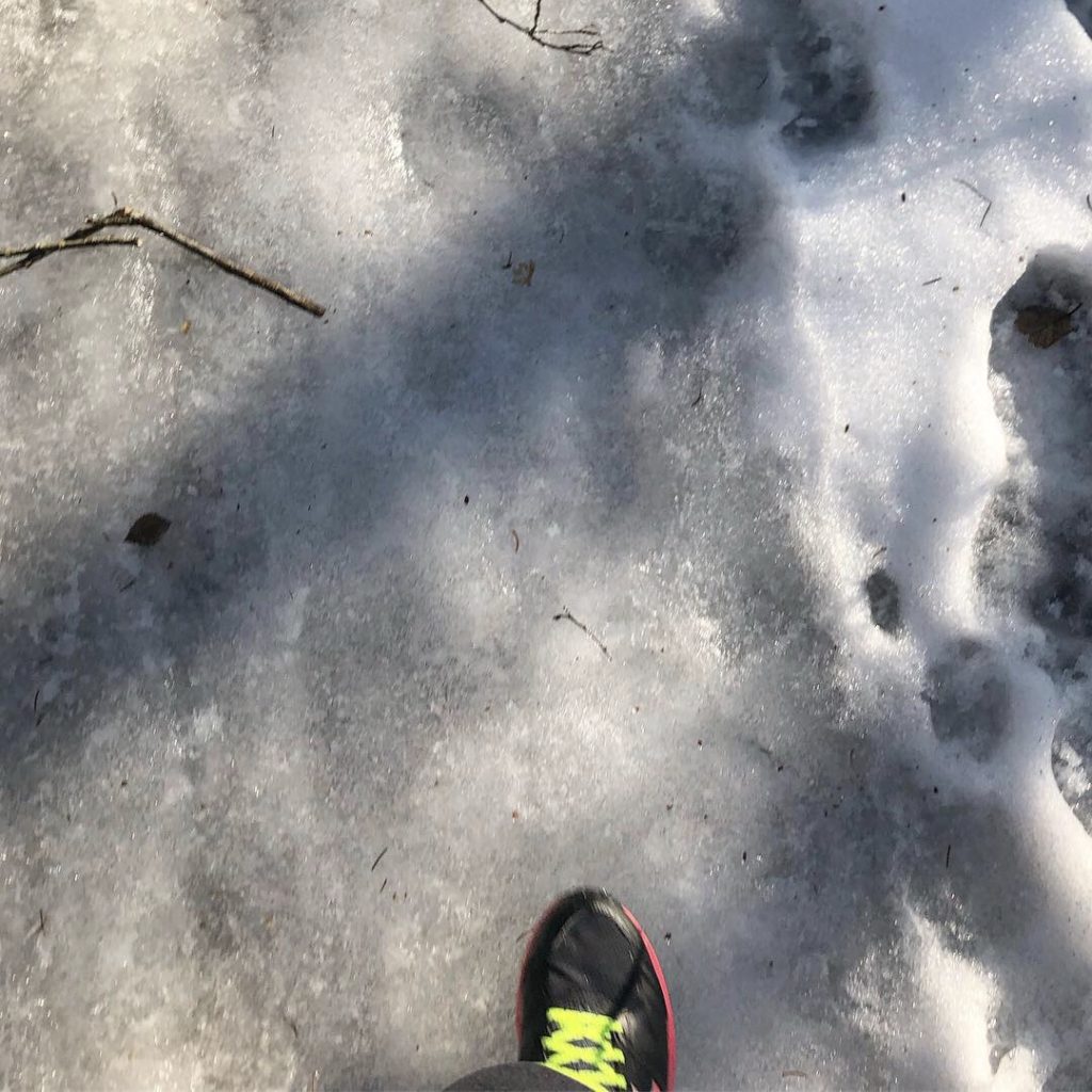 513EB1D3-623B-4406-85AA-FD56A9A4B121-1024x1024 - När lyckan spritter i hela kroppen...