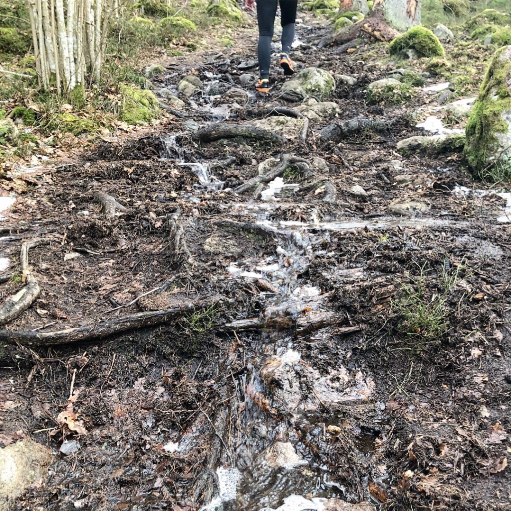 D6142760-CD16-4491-9383-7525676A94D4-1024x1024 - När lyckan spritter i hela kroppen...