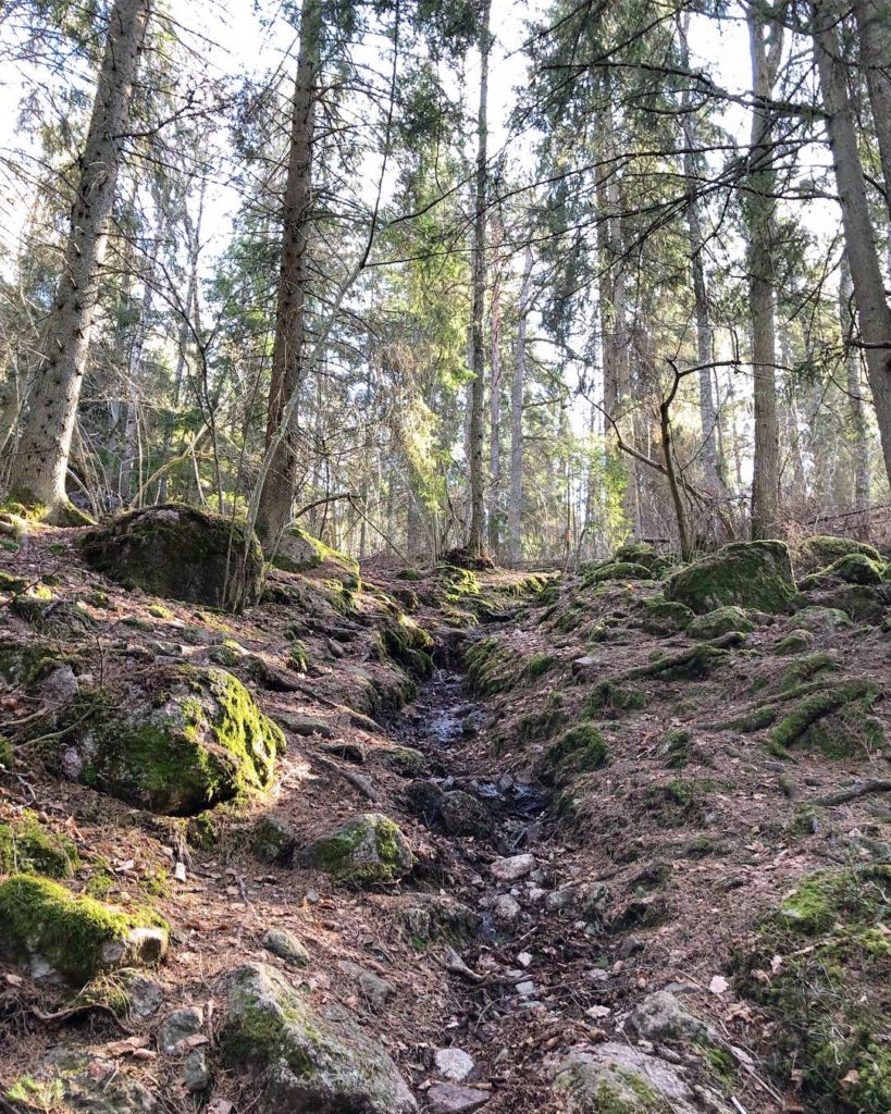 5BDCB03E-D66C-4816-821B-B6DC53FD73AD-819x1024 - Ågelsjön runt