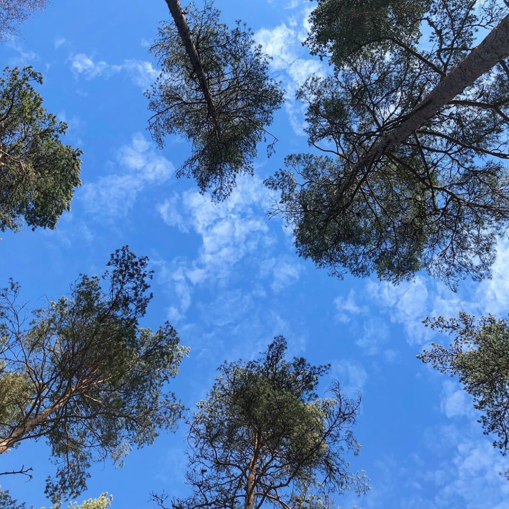 Himlen