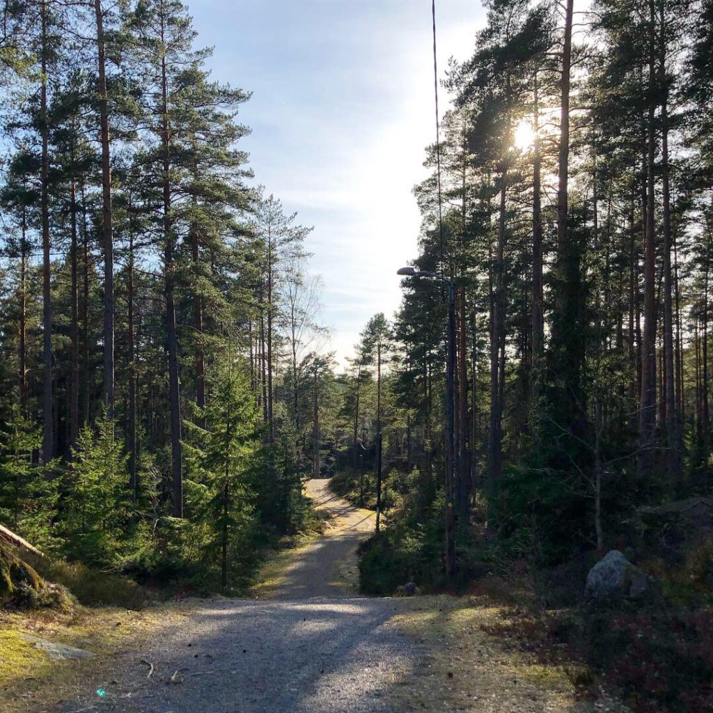 Skogen