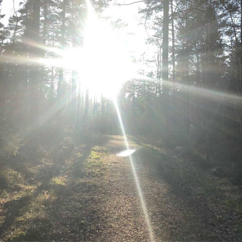 Härlig runda i skogen