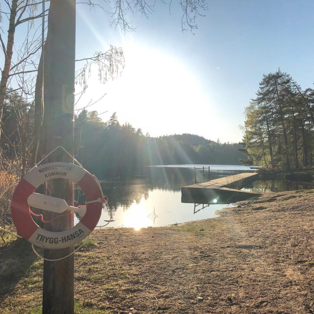 998F7639-04D4-42D3-B6A3-2B888ADB22FE-1024x1024 - Härlig runda i skogen