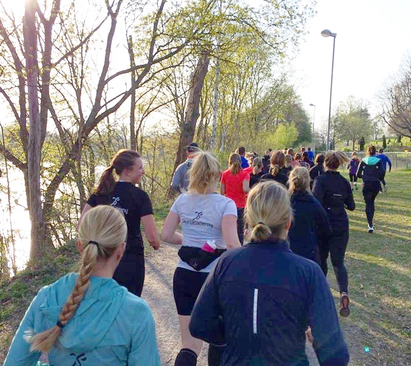 C525D1B8-BD95-4195-ACCB-7BF587F9C19F - Tröskelpass