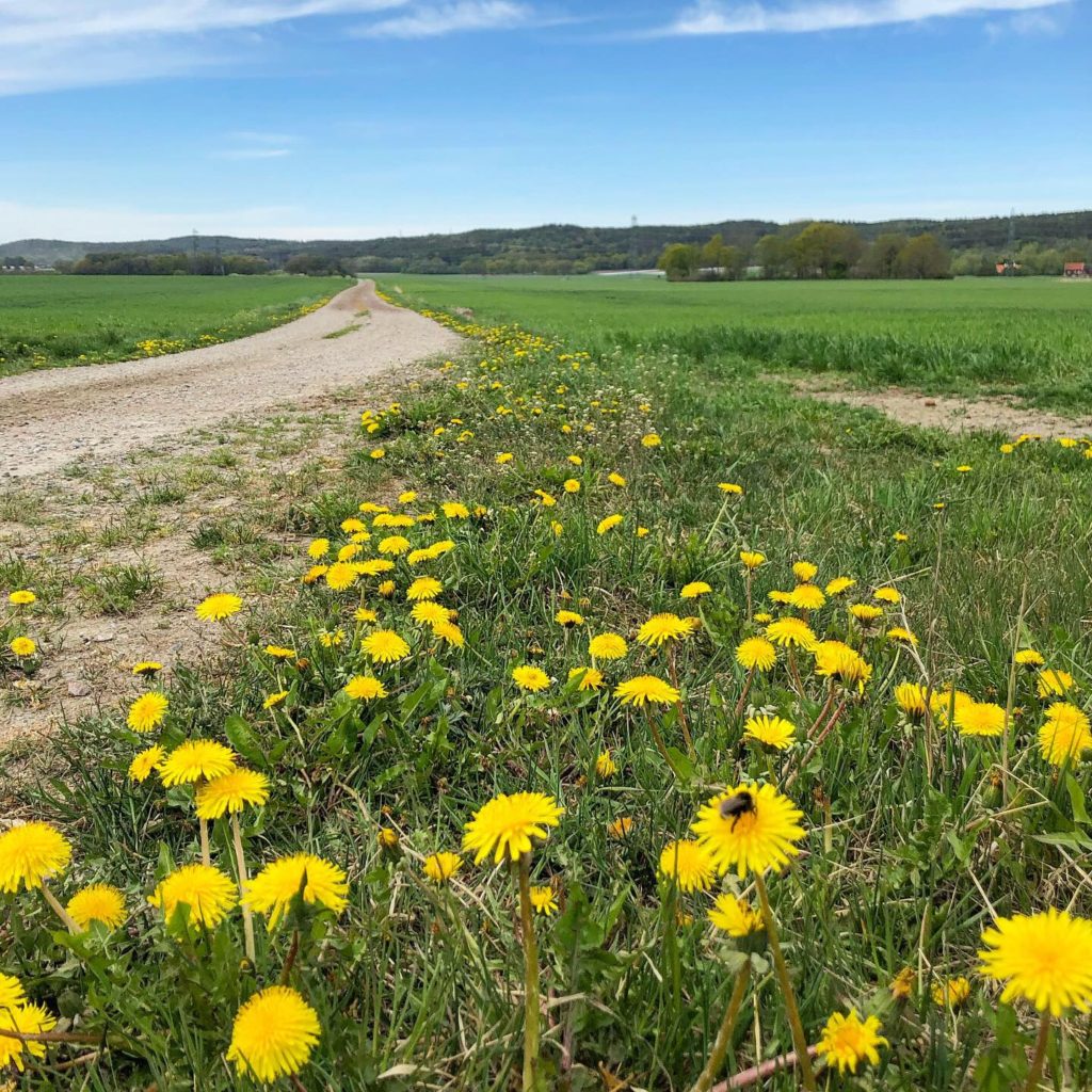 Vackra Sverige