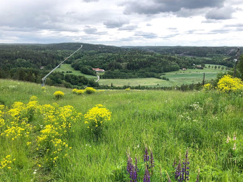 Utsikten från Yxbackens topp