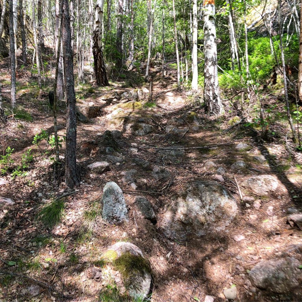 6FE3586A-0190-4444-87AD-9410A66A03B7-1024x1024 - Trailmil på hemmaplan