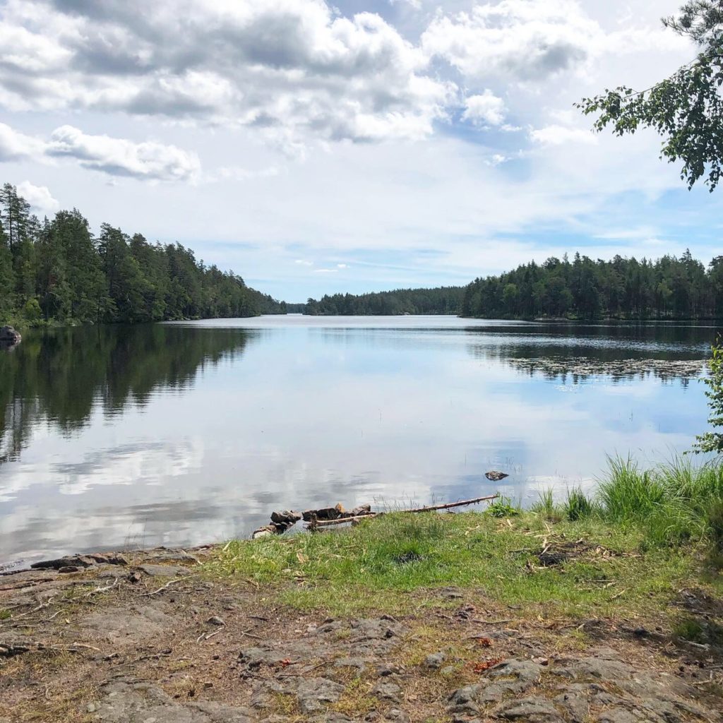 Lilla Älgsjön
