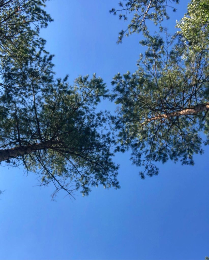 blå himmel