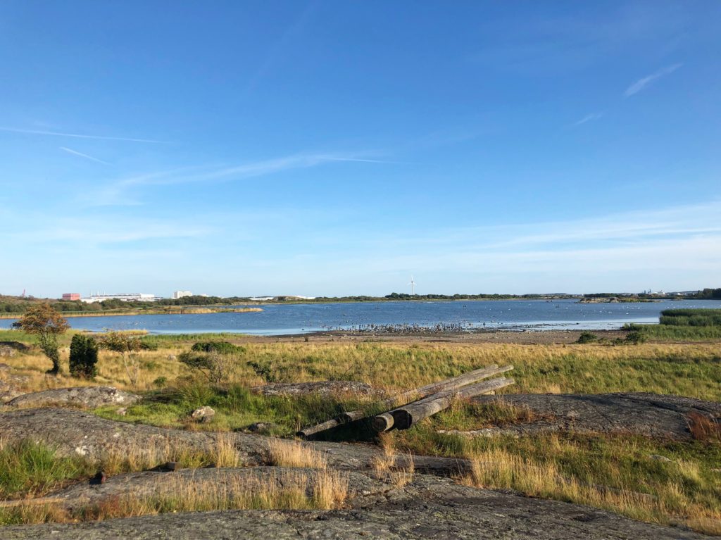 Fågelskådarsjön