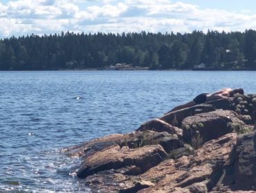 Vårviksbadet