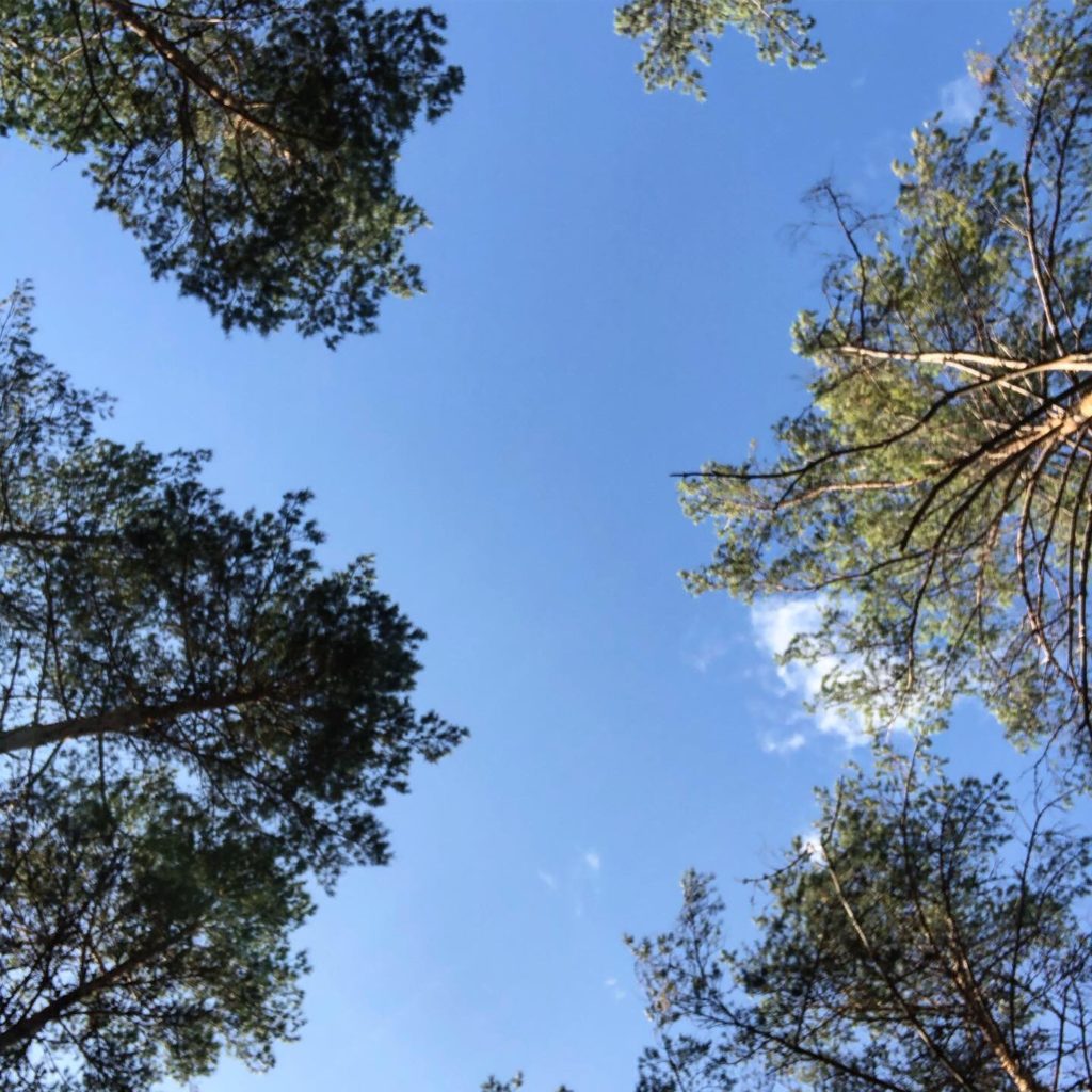 Blå himmel