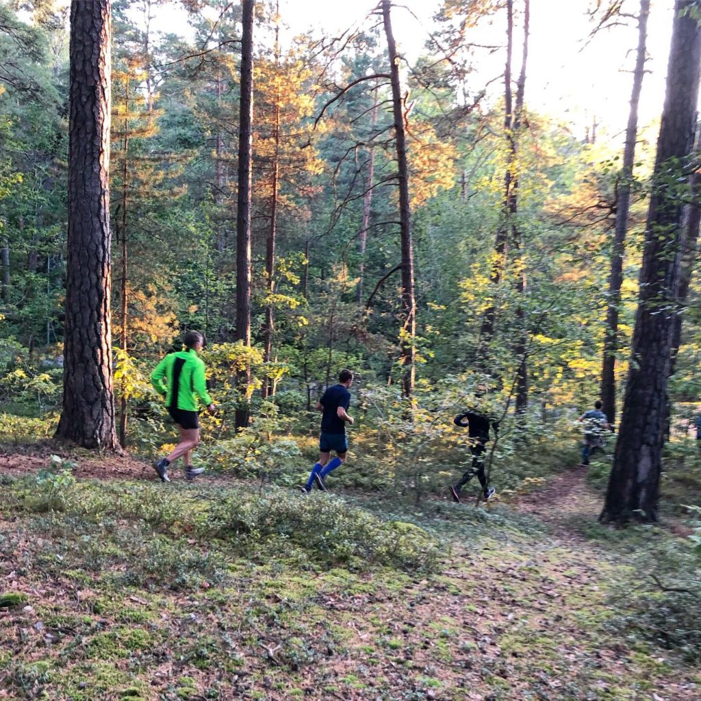 Veckans löppass: trailintervaller