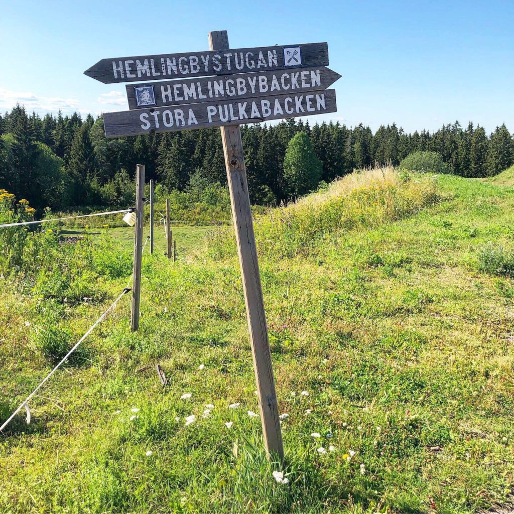 Hemlingbybacken