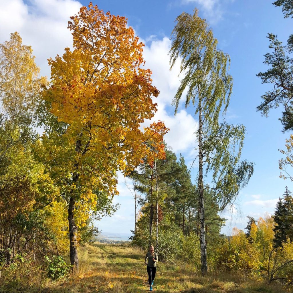 Höstlöpning