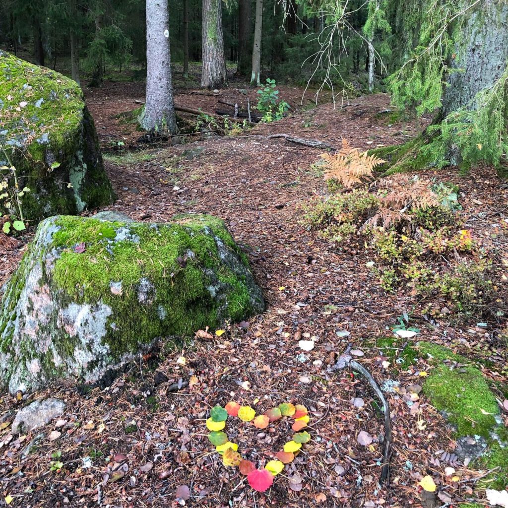 Skogspromenad