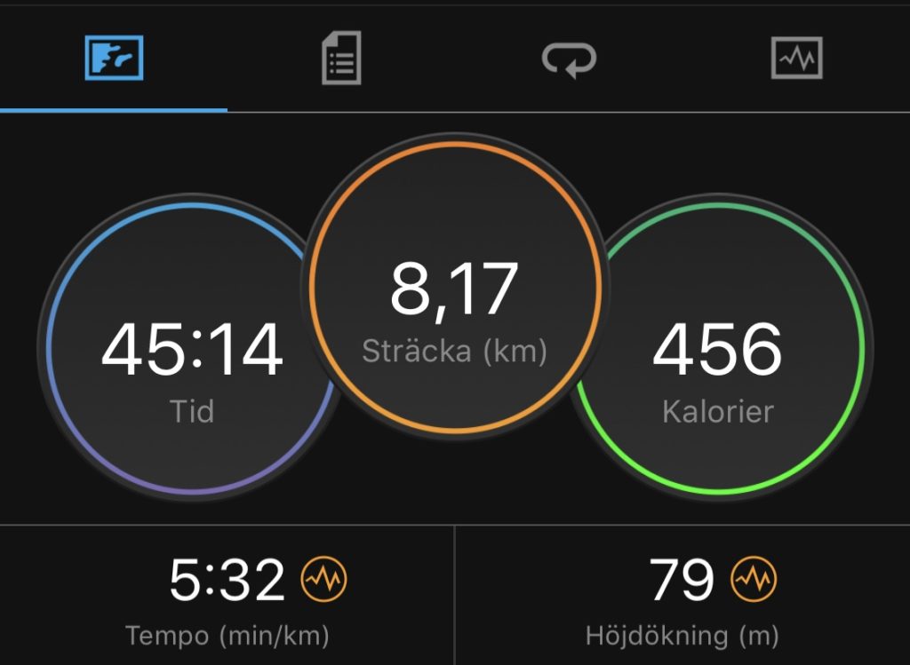 45 min löpning