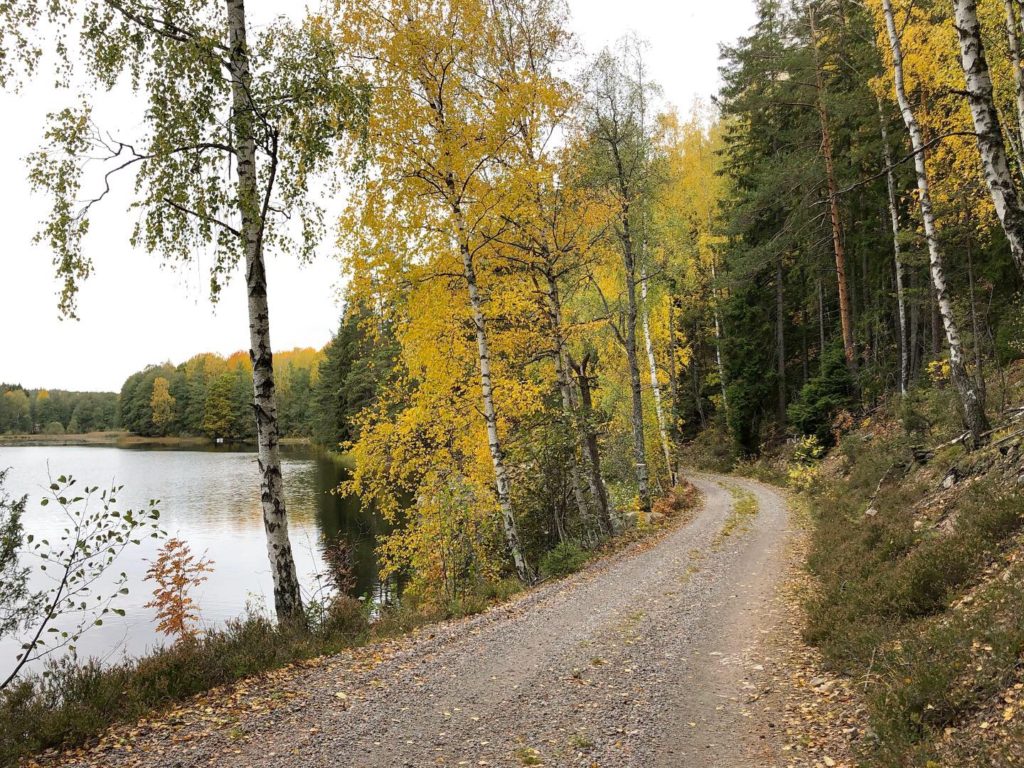 Höst vid Ågelsjön