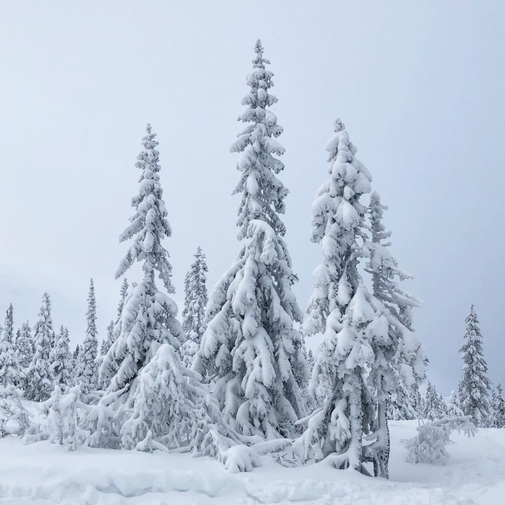 0C754FC0-76F7-42B4-8695-813C1326D2A4-1024x1024 - Skapar minnen