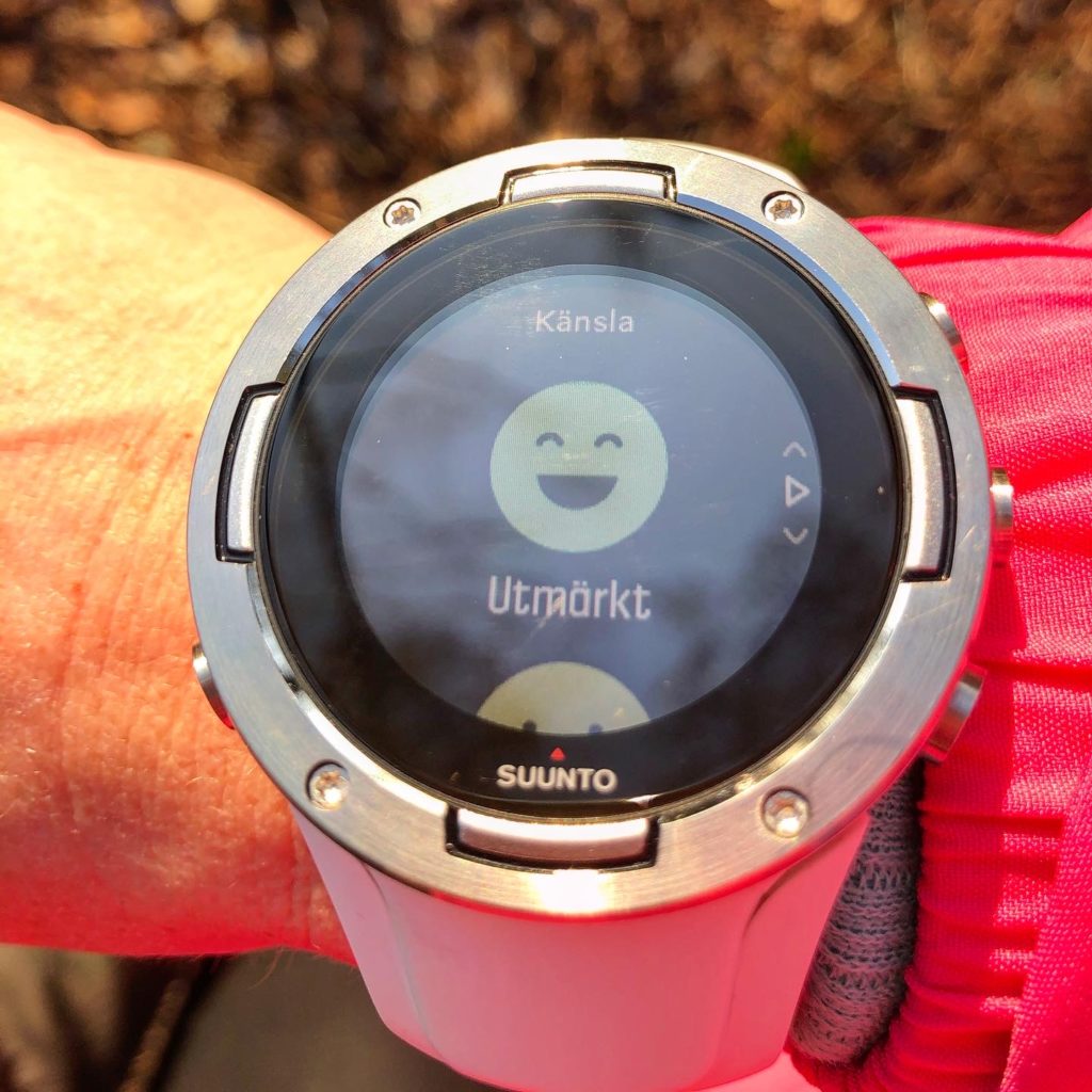 Suuntorun