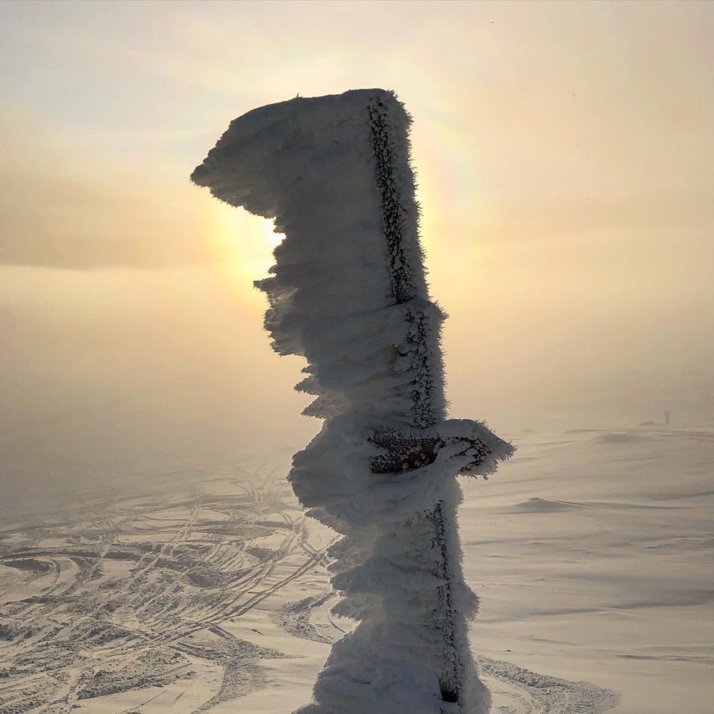 50B007F6-DAE5-4EE3-9F76-45EF9FB22B32-1024x1024 - Frrr med utsikt