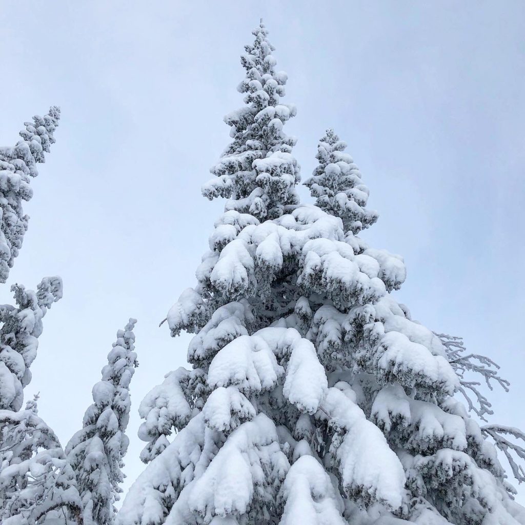 51C4537C-BC6B-46AF-871C-0A507A30ADE0-1024x1024 - Frrr med utsikt