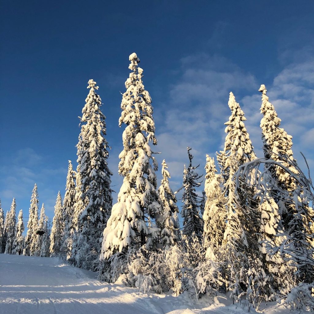 57734978-795B-4447-9561-672A992C9A37-1024x1024 - SOL och SNÖ - det finns!