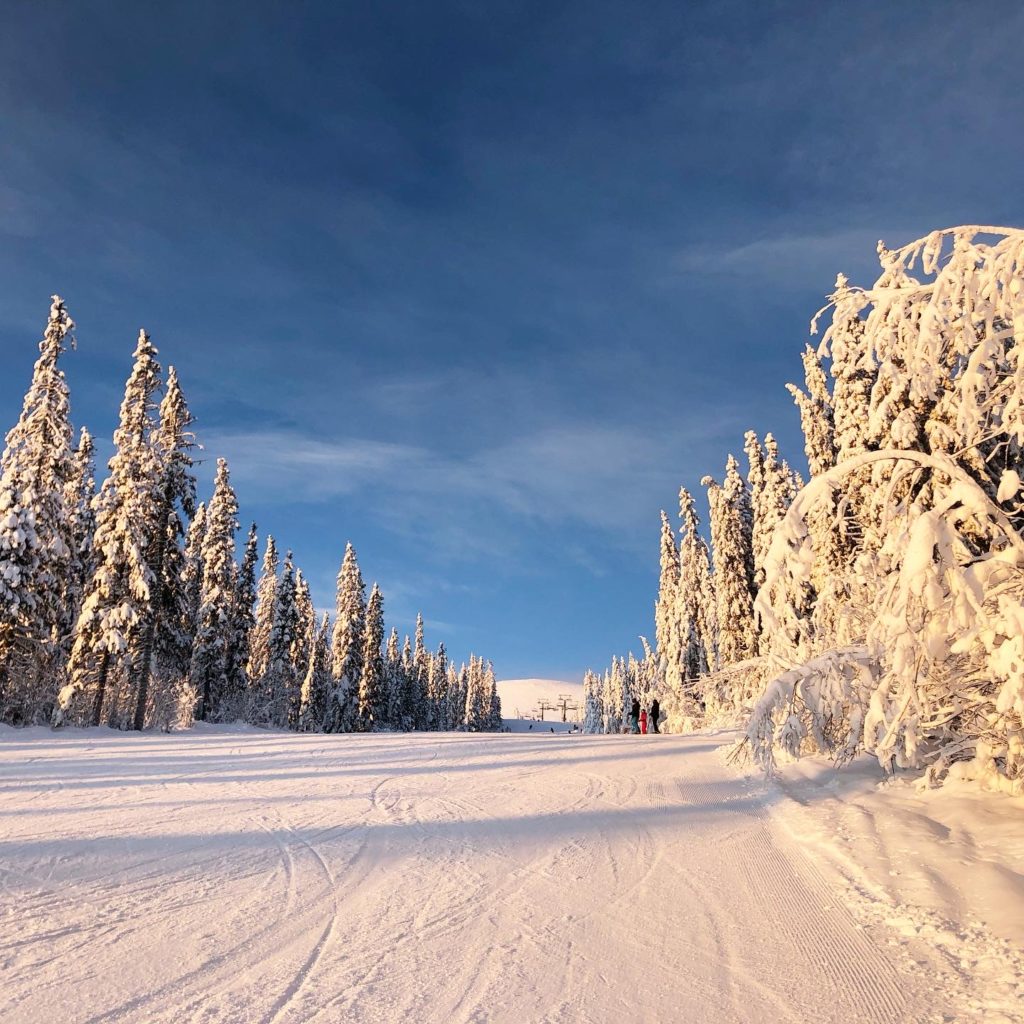 882A7528-ECF4-40C0-9A8E-D10717FACB78-1024x1024 - SOL och SNÖ - det finns!