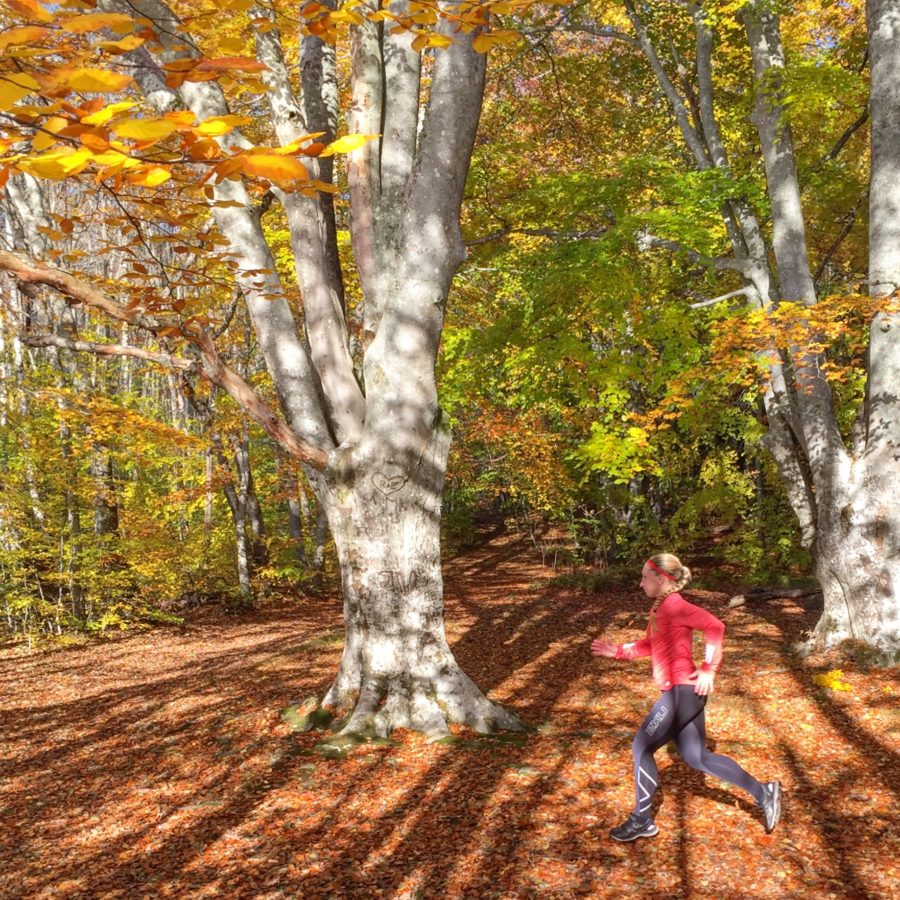 Autumnrunning