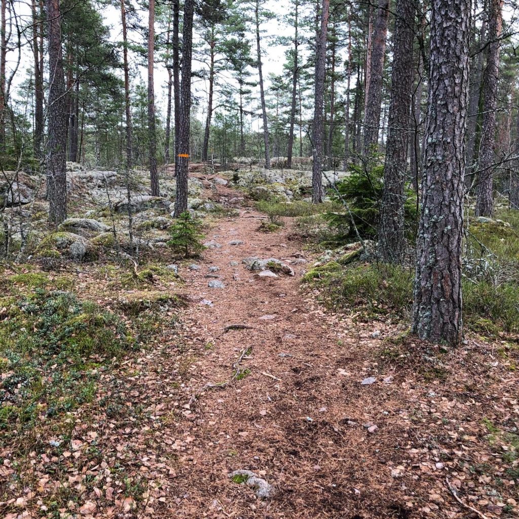 Skogsstig