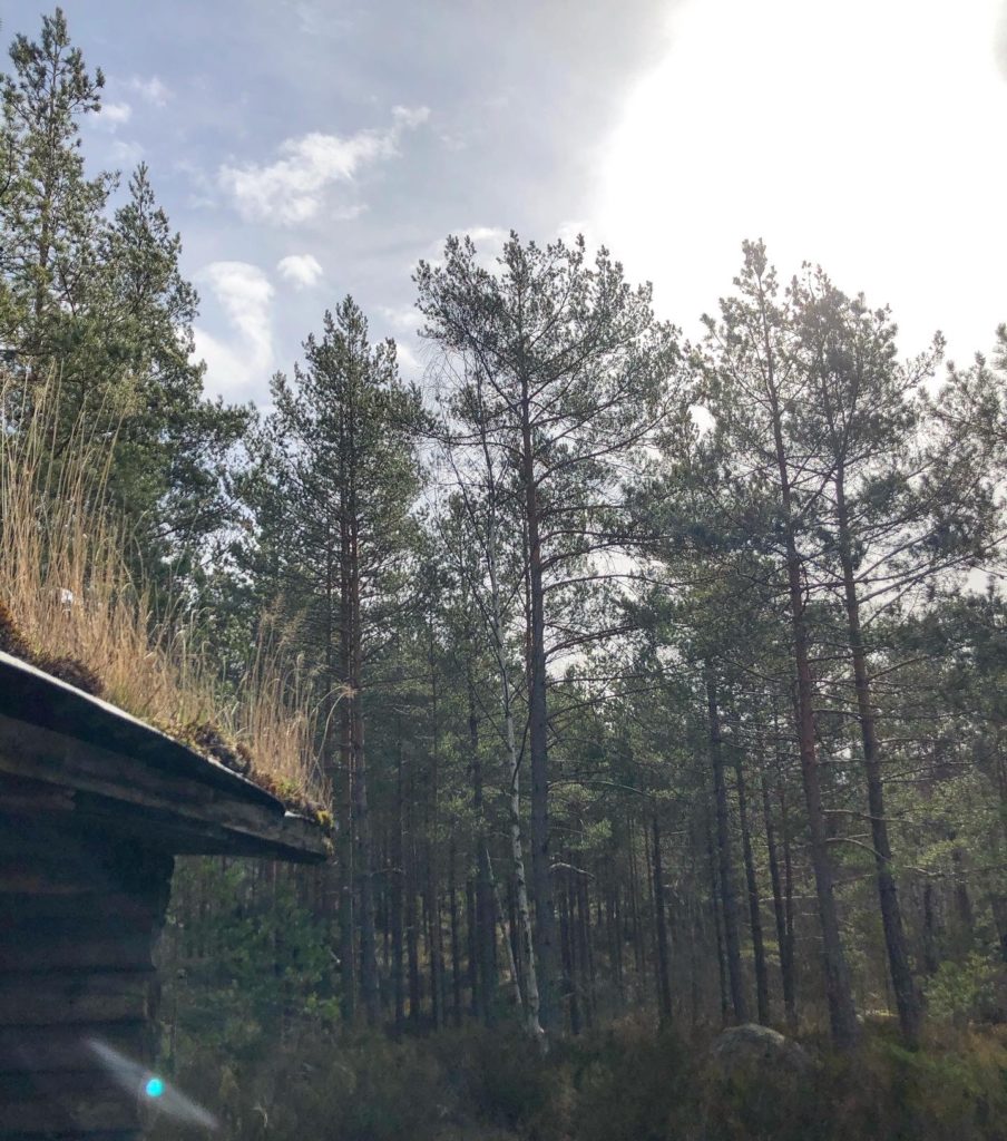 Vindskydd vid Tolen